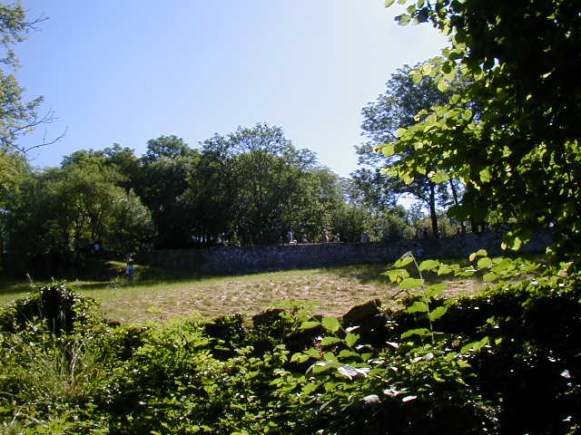 P6040057.JPG